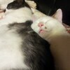 カズさんのプロフィール画像