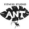 ANTさんのプロフィール画像