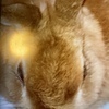 あいぽんさんのプロフィール画像