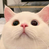 山るいさんのプロフィール画像