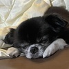 takeさんのプロフィール画像