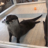 コナミさんのプロフィール画像