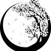 ふうさんのプロフィール画像