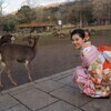 haruka koiさんのプロフィール画像