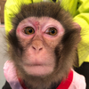 beckyさんのプロフィール画像