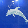 クルクルマーヤさんのプロフィール画像