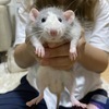 350さんのプロフィール画像