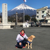 山の上さんのプロフィール画像