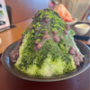 抹茶さんのプロフィール画像
