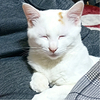 M_Hさんのプロフィール画像