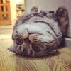 みやたさんのプロフィール画像
