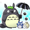 トトロさんのプロフィール画像