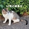 いちごみるくさんのプロフィール画像