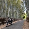 laさんのプロフィール画像