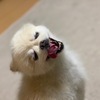 ゆりあさんのプロフィール画像