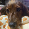 imozonさんのプロフィール画像