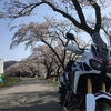 おてつさんのプロフィール画像