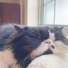 えりかさんのプロフィール画像