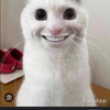 ななちゃんさんのプロフィール画像