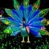 しぃさんのプロフィール画像