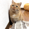 けんさんのプロフィール画像