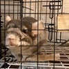 ヤマシタさん！さんのプロフィール画像