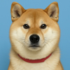 たくらさんのプロフィール画像