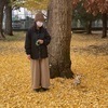 おかかさんのプロフィール画像