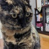gibunさんのプロフィール画像