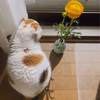 みいさんのプロフィール画像