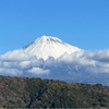 抹茶八つ橋さんのプロフィール画像