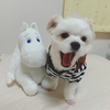 maiさんのプロフィール画像