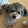 鈴乃さんのプロフィール画像