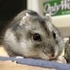 るぅるぅさんのプロフィール画像