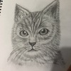 春子さんのプロフィール画像
