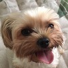 kataruさんのプロフィール画像