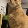 akiさんのプロフィール画像