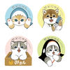 シエル25さんのプロフィール画像