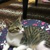 ユカタンさんのプロフィール画像