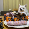 よつばさんのプロフィール画像