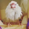 mmmさんのプロフィール画像