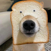 こりぽんさんのプロフィール画像