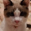 牛くんさんのプロフィール画像