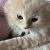 ゆうりさんのプロフィール画像