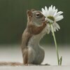 マロさんのプロフィール画像