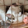 のりさんのプロフィール画像