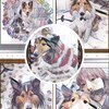 mikiさんのプロフィール画像