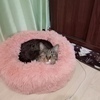 kuさんのプロフィール画像