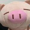 harunaさんのプロフィール画像