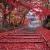 ふみまさんのプロフィール画像